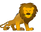Gif animé lion rugit